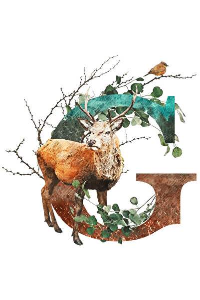 StoryGift Romania Sticker Adeziv 90CM Cu Litera, G, Cerb, Pasare, Crengi, Fru...