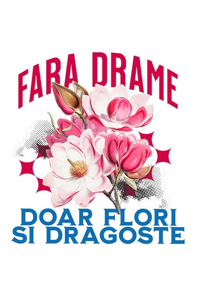 StoryGift Romania Sticker Cu Buchet De Flori Roz Text Fara Drame Doar Flori Si Dragoste Cu Margini Albe, Pvc