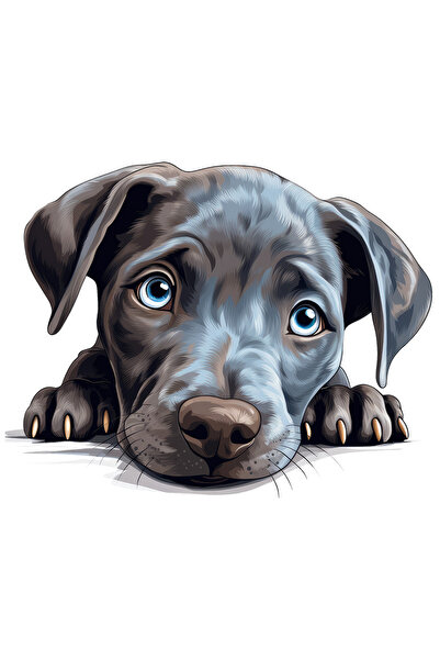 StoryGift Romania Sticker Cu Un Catelus Timid, Ilustratie, Cenusiu, Ochi Puti...