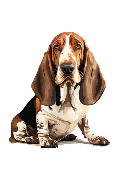 StoryGift Romania Sticker Autocolant 70CM cu un caine serios, ilustratie, urechile aplecate, pentru iubitorii de