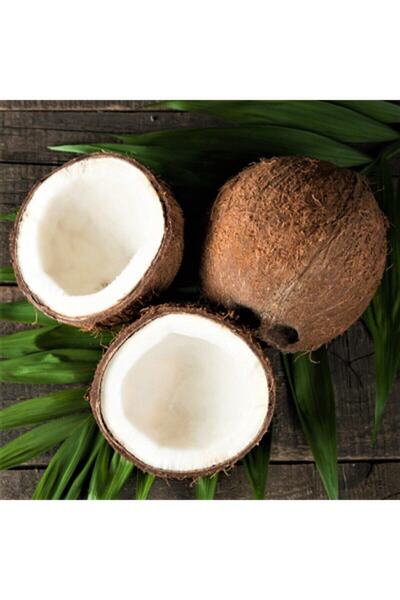 Hamile Marketim Hindistan Cevizi (adet)