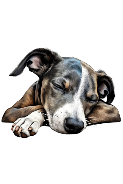 StoryGift Romania Sticker Eticheta 40CM cu un catel care doarme lat, ilustrat...