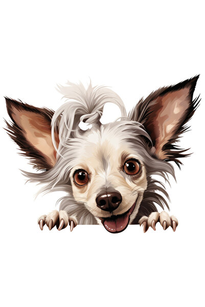 StoryGift Romania Sticker Autocolant 70CM cu o catelusa cu mot, ilustratie, g...