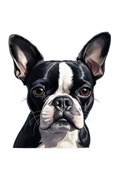 StoryGift Romania Sticker Autocolant 70CM cu un catel serios, ilustratie, putin cam trist, urechile ciulite, neg