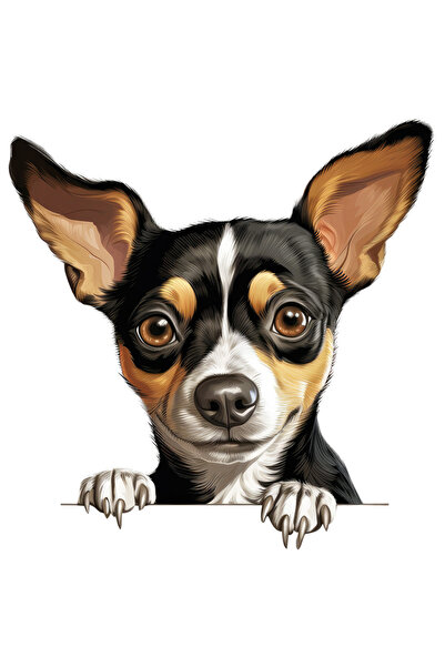 StoryGift Romania Sticker Autocolant 70CM cu un caine timid, ilustratie, se u...