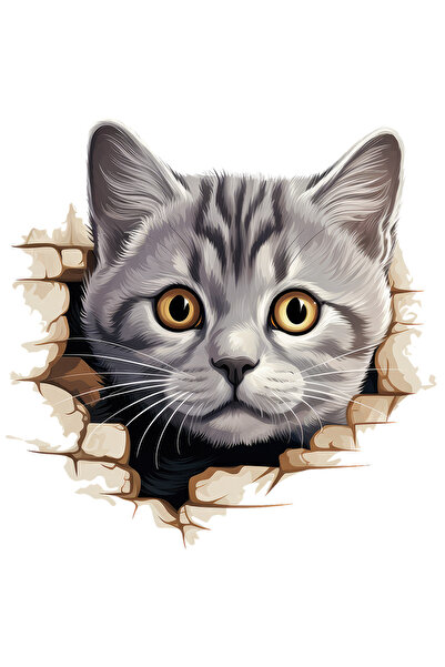 StoryGift Romania Sticker Adeziv 90CM cu o pisica mirata, ilustratie, se uita socata, gri, scoate capul printr-u