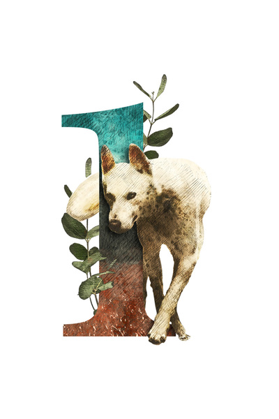 StoryGift Romania Sticker Autocolant 70CM Cu Lup, Planta, Animal, L, cu Margi...