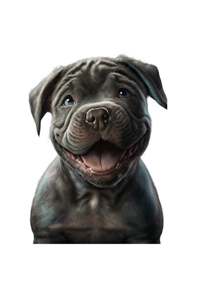 StoryGift Romania Sticker Adeziv 90CM Cu Pui De Catel, Zambet, Lumina Soarelu...