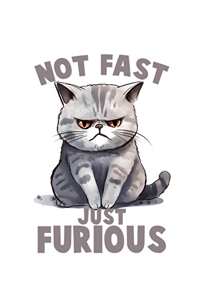 StoryGift Romania Sticker Autocolant 70CM cu pisica furioasa cu mesajul "Not ...