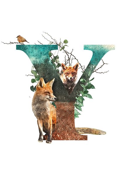 StoryGift Romania Sticker Autocolant 70CM Cu Litera, Y, Vulpi, Frunze, cu Margini Albe, PVC Vinyl 70 cm