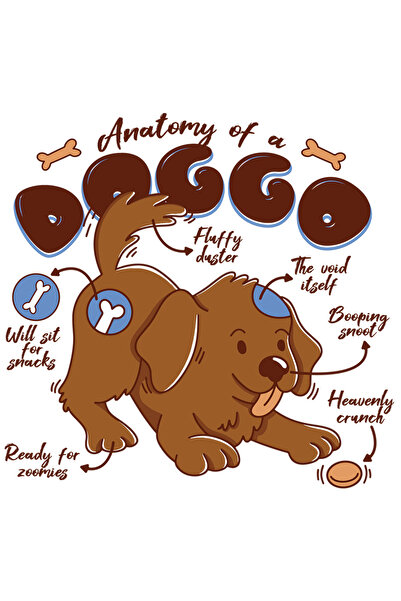 StoryGift Romania Sticker Eticheta 40CM Cu Mesaj Amuzant In Engleza Anatomy O...