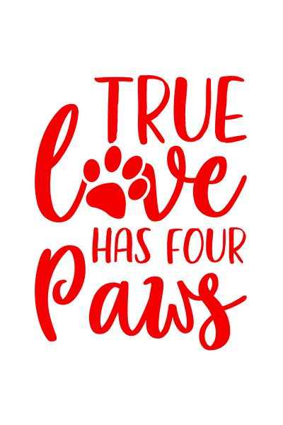 StoryGift Romania Adhesive Sticker 90CM Exterior with the message "True love has four paws" - true love has 4 paws