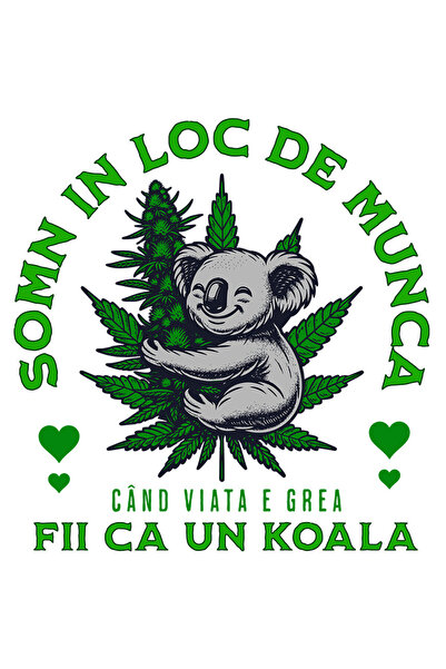 StoryGift Romania Sticker Autocolant 70CM cu Urs Koala Vesel Imbratisare Frunze Verzi Text Somn In Loc De Munca