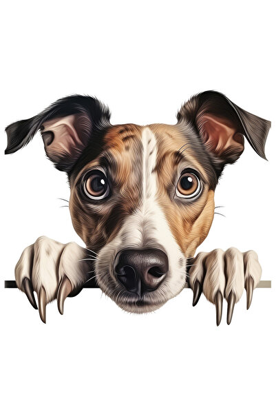 StoryGift Romania Sticker Autocolant 70CM cu un catel surprins, ilustratie, gheare, labute, sfios, pentru iubito