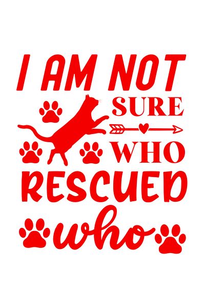StoryGift Romania Sticker Autocolant 70CM Exterior pentru iubitorii de pisici care nu sunt siguri daca ei au sal