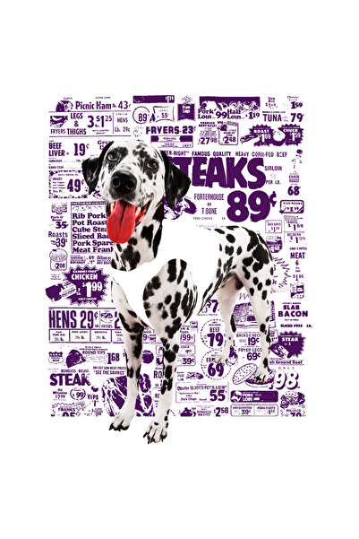 StoryGift Romania Sticker Autocolant 70CM Dalmatian, cu Margini Albe, PVC Vin...