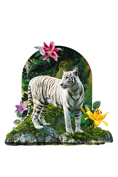 StoryGift Romania Sticker Label 50CM With White Tiger, Flora, Rocks, Moss, Forest, Nature, with White Edges, P