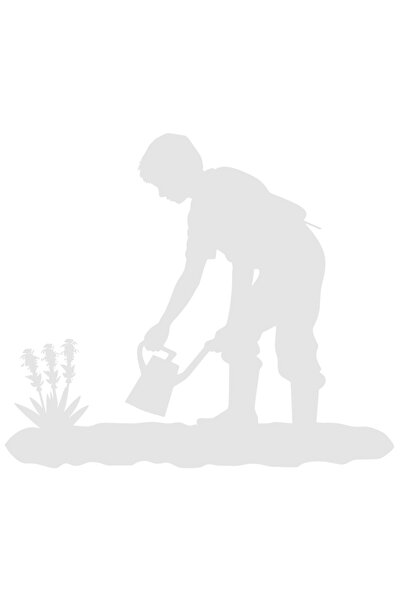 StoryGift Romania Sticker Autocolant 30CM Exterior cu un copil harnic - face ...