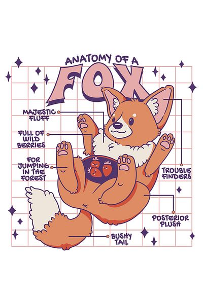 StoryGift Romania Sticker Eticheta 40CM Cu Mesaj Amuzant In Engleza Anatomy Of A Fox, Stele, Cadru, Capsuni, Ani