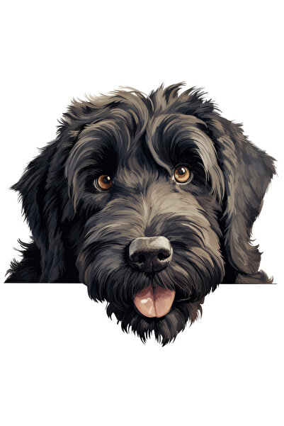 StoryGift Romania Sticker Autocolant 70CM cu un catel negru, ilustratie, blan...