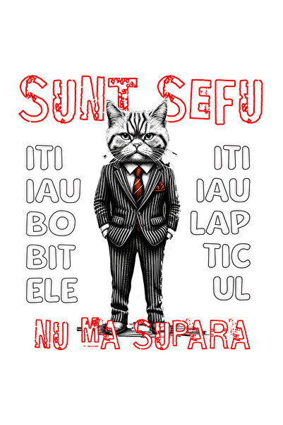 StoryGift Romania Sticker Autocolant 70CM Adeziv pisica sef nu ma enerva iti iau bobitele sau laptele animal bla