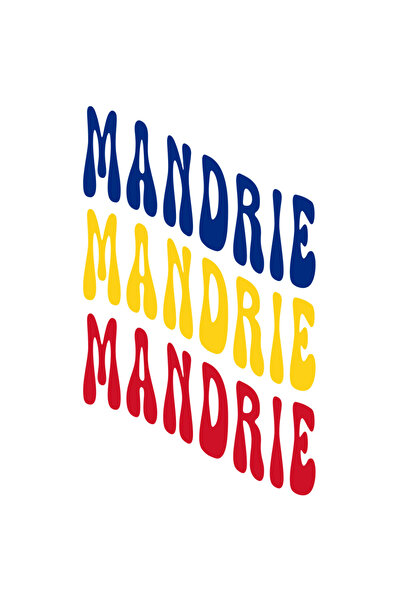 StoryGift Romania Sticker Autocolant 70CM Cuvantul Mandrie, in Culorile Steag...