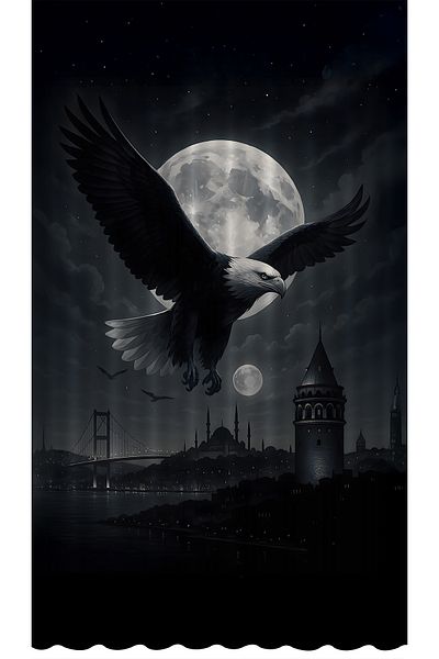 Bertille Home Children's and Baby's Room Black and White Fan Football Series Background Curtain Single Wing (Curtain)