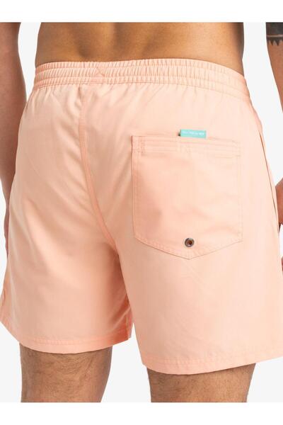 Quiksilver EVERYDAY SOLID VOLLEY 15 Ανδρικό βόλεϊ κοντό EQYJV04120-QK.MEF0 Πολύχρωμο-XS