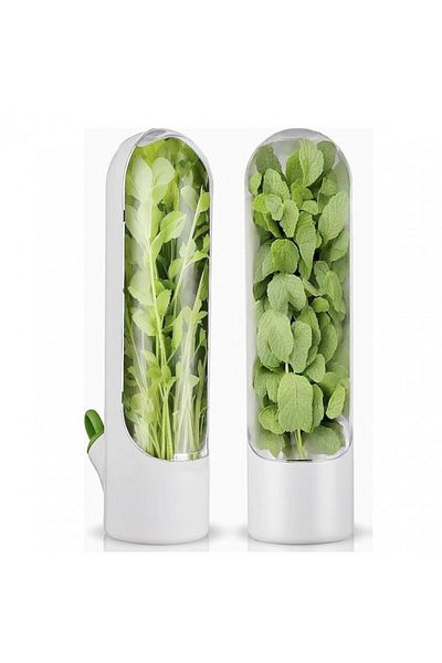 ECARLA Recipient pentru depozitarea ierburilor proaspete, menta, legume pentru frigider, 25x6.5cm