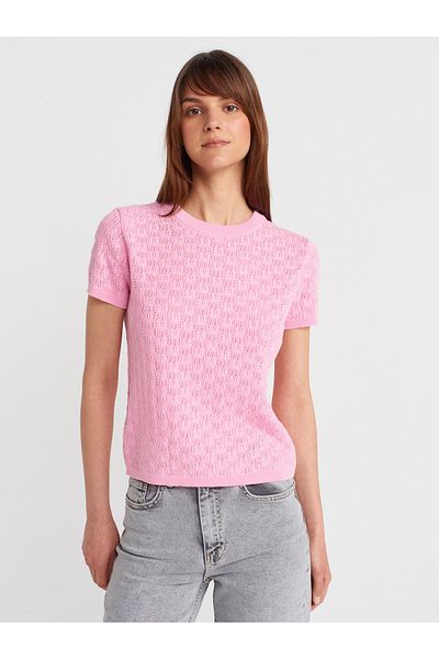 Dilvin 10760 Crew Neck Patterned Knitwear Blouse-Pink