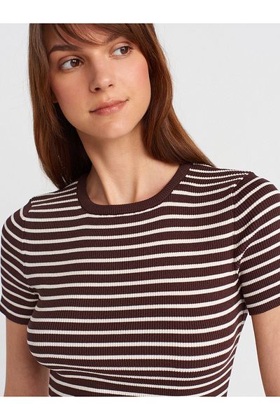 Dilvin 10758 Crew Neck Striped Basic Knitwear Blouse-Brown-Ecru