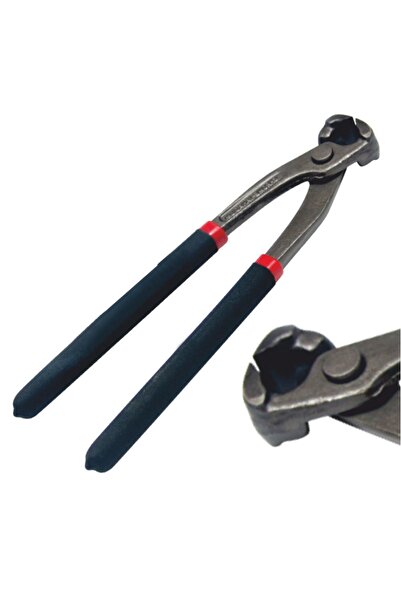 flores Cleste cuie cu cap mic, Nr 9