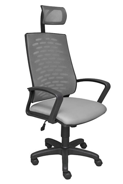 SDT TİCARET Nadia Siyah Fileli Plastik Yönetici Ofis Büro Bilgisayar Çalışma ...