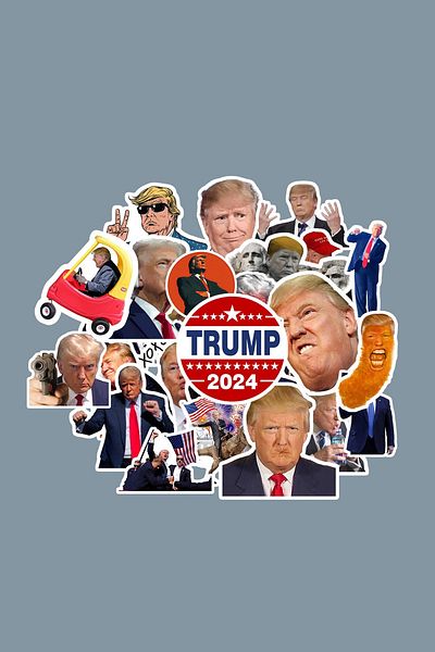 dadi ramba Donald Trump Sticker Pack -Bullet Journal - Agenda -Laptop Sticker Decal
