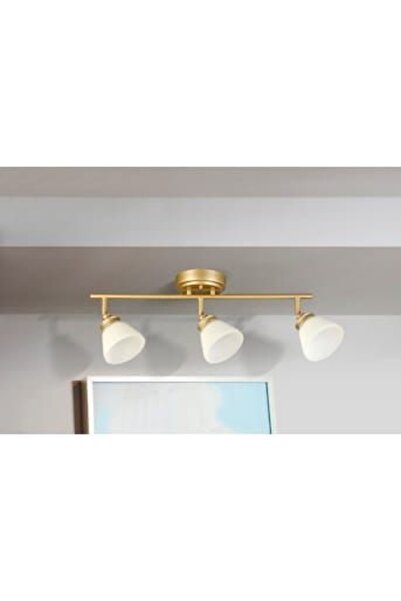 Rsylight Modern Eskitme Kaplama 180 Derece Hareketli Beyaz Opal Camlı Dekoratif Tavan Plofyoner Aviz