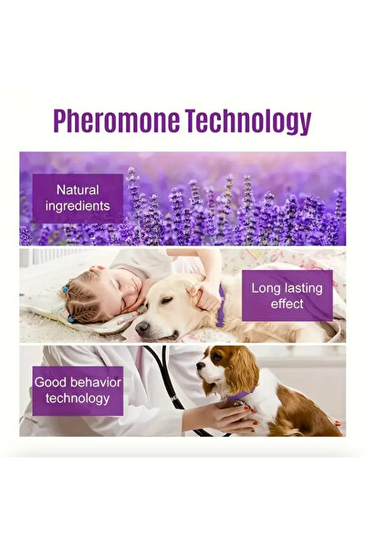 KDS Calming Collars Dog Sakinleştirici Köpek Boyun Tasması 3'lü Paket - Ayarlanabilir Ölçü