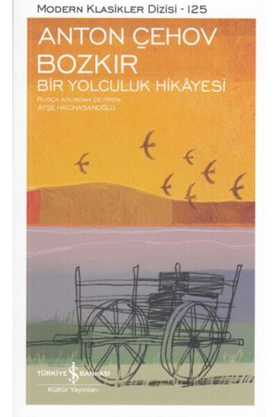 TÜRKİYE İŞ BANKASI KÜLTÜR YAYINLARI Bozkır Bir Yolculuk Hikayesi - Modern Kla...