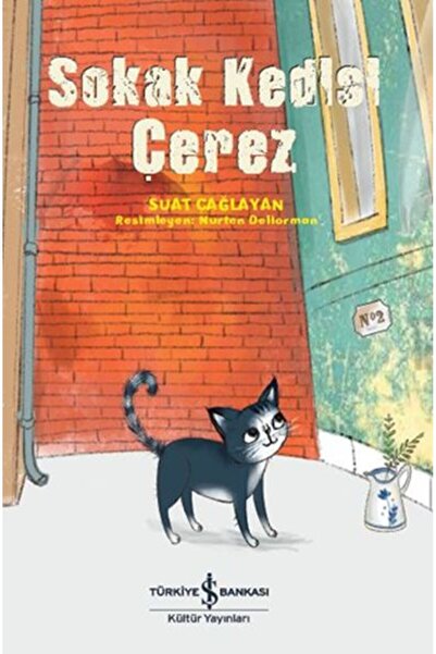 Yeditepe Yayınevi Sokak Kedisi Çerez