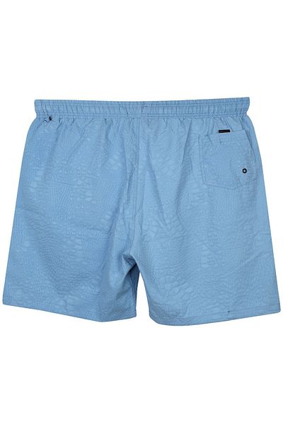 tambattal Men's Plus Size Swim Shorts Seersucker Printed