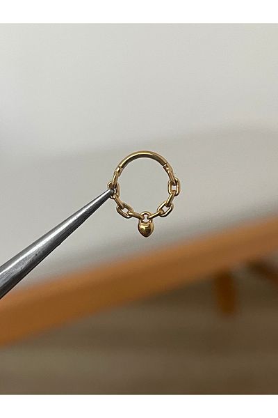 Rupen Kraft 316 لتر سلسلة من الفولاذ الجراحي مع تفاصيل القلب حلقة الغضروف اللولب ثقب الزنمة