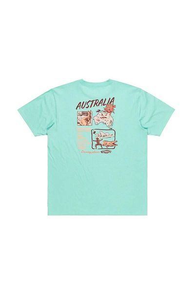 BİLLABONG Dreamy Place Ss Men's T-Shirt Ebyzt00294-6516