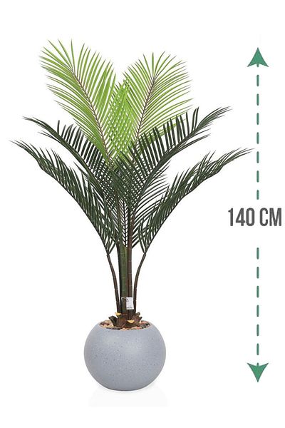 Generic Areca tree (7 branches) in a round plastic container
