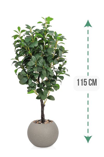 Generic Lemon tree in a round plastic pot