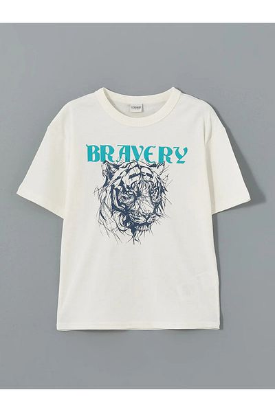 LC Waikiki Crew Neck Boy's T-Shirt