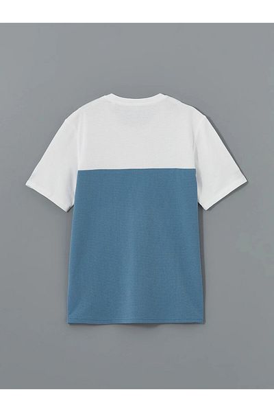 LC Waikiki Ανδρικό T-shirt με λαιμόκοψη με κοντό μανίκι Color Block
