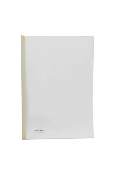 Generic A4 plastic file