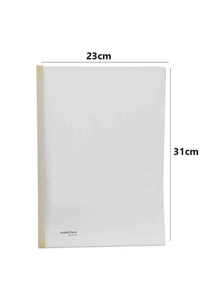 Generic A4 plastic file