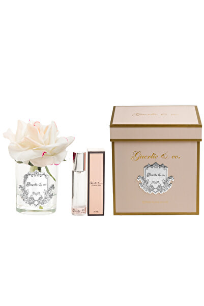 Guerlieandco. Krem Pembe Tek Gül Gümüş