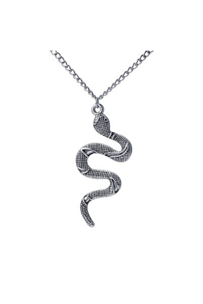 REDz Accessories Lanț șarpe, șarpe punk, femei, la modă, oțel inoxidabil, arg...