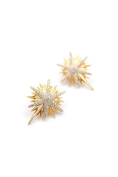 MR RZN STORE North Star Earrings - Rose